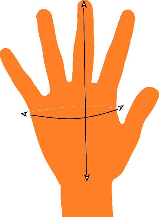 Hand Measurements Hand Measurements