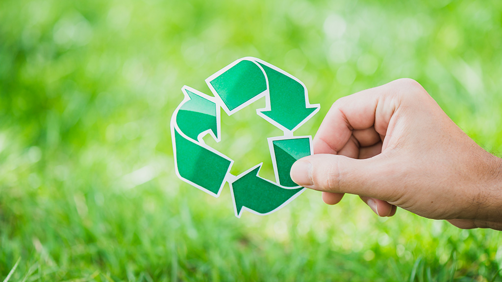 Environmental Feauture