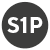 S1P EN ISO 20345